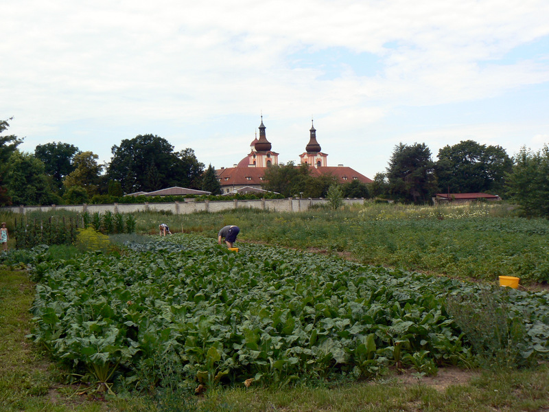 Kačina02