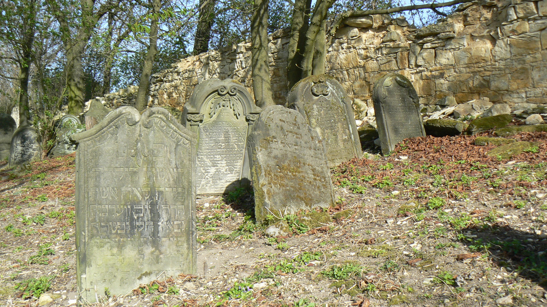 vrbno10