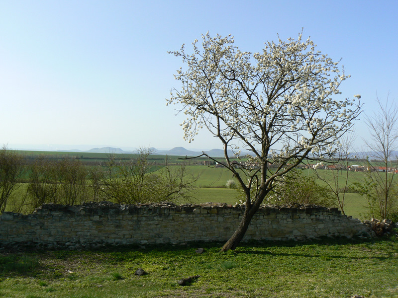 vrbno15